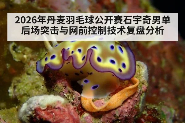 2026年丹麦羽毛球公开赛石宇奇男单 后场突击与网前控制技术复盘分析